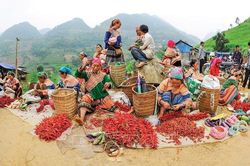 Đặc sắc phiên chợ vùng cao Hà Giang tại Thủ đô