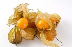 Quả tầm bóp có tác dụng kỳ diệu sao giá lên tới 400.000đ/kg