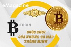 Bitcoin: Cuộc chơi của những 'cá mập' thông minh