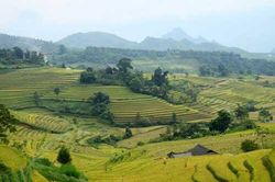 Nhộn nhịp mùa 'vàng' trên rẻo cao Tả Lèng, Lai Châu