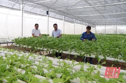 Huyện Yên Định: Ðưa nghị quyết vào cuộc sống bằng việc làm cụ thể