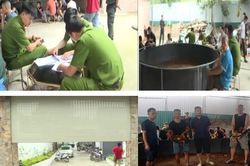 Đột kích ổ cờ bạc 'khủng', tóm gọn hàng chục đối tượng cùng…2 con gà