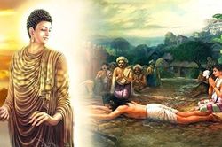 Phật dạy 7 trường hợp tuyệt đối không sát sinh kẻo họa bất trùng lai