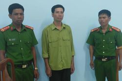 Kbang: Truy tố nhân viên bảo vệ rừng vì để mất hơn 103 m3 gỗ