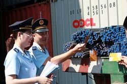 Đề xuất kiểm tra ngẫu nhiên không quá 5% lô hàng nhập khẩu