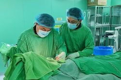 Cụ ông 100 tuổi có nhịp tim siêu chậm vừa được cứu