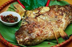 Độc đáo món pa tỉnh tộp