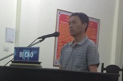 Lĩnh án vì xẻ gỗ sa mu về làm nhà