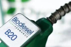 Indonesia là nhà sản xuất dầu diesel sinh học lớn nhất thế giới