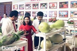 Tiếp tục nhân rộng những cách làm hay trong xây dựng nông thôn mới kiểu mẫu