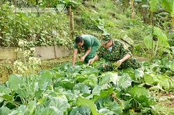 Nơi tuyến đầu của Tổ quốc