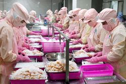 Chủ động hơn nữa để chiếm lĩnh thị trường CPTPP