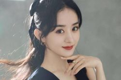 Khối tài sản của Triệu Lệ Dĩnh