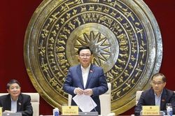 Cần tính toán thêm tính ổn định của pháp luật