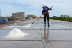 Diêm dân Bạch Long chật vật bám nghề muối của quê hương