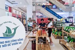 80 mã hàng của Chi hội Sản vật Tây Nguyên tham gia Lễ hội Tự hào hàng Việt