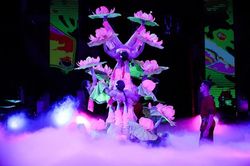 Trao 18 giải cho các tài năng xiếc toàn quốc - 2021