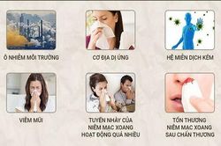Điểm mặt căn nguyên gây viêm mũi dị ứng