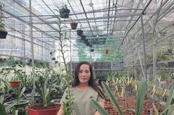 Bà chủ Nguyễn Ngọc Phương Anh chia sẻ cách chọn cây cảnh phù hợp cho ngôi nhà