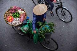 Gánh hàng rong – hồn quê giữa phố phường Hà Nội