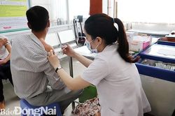 Tiêm vaccine ngừa dại tăng cao