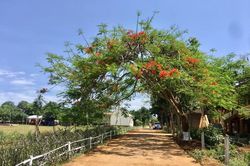 Nông thôn Nghệ An từ những mô hình 'sạch làng đẹp phố'