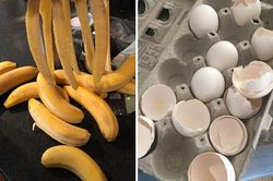 9 loại nguyên liệu tưởng rác vứt đi nhưng vào tay đầu bếp lại thành món hấp dẫn