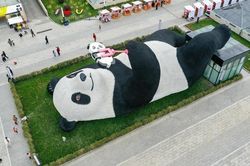 Tượng gấu trúc 130 tấn nằm selfie giữa quảng trường ở Trung Quốc