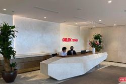 Tăng sở hữu tại Viglacera, Gelex báo lãi sau thuế Quý 1/2021 cao gấp 3 lần cùng kỳ