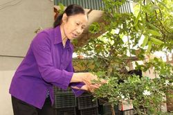 Chuyện về người vợ của cựu binh xe tăng 390
