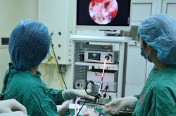 Nguyên nhân khiến nữ sinh ở Quảng Ninh bị ngạt mũi liên tục