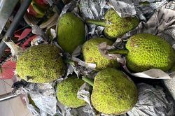 Quả lạ miền Tây tràn ra Hà Nội: Ngoài trông như mít, trong lại giống khoai
