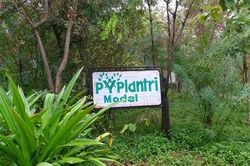 Ngôi làng ở Ấn Độ trồng cây xanh chào đón bé gái ra đời
