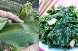 Lá ngón xào tỏi - món đặc sản ở Lai Châu hiếm ai dám ăn vì sợ trúng độc