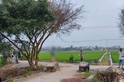 Thái Bình: Phát hiện người đàn ông tử vong trong tư thế treo cổ