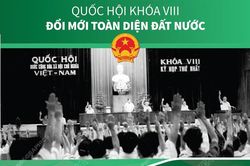 Quốc hội khóa VIII: Đổi mới toàn diện đất nước