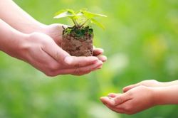Gieo hạt giống tốt đẹp