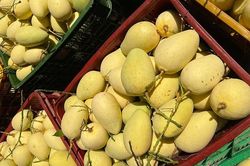 Campuchia đối thủ trực diện của Việt Nam ở Trung Quốc