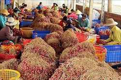 Đề xuất chính sách hỗ trợ bổ sung cho sản xuất nông nghiệp