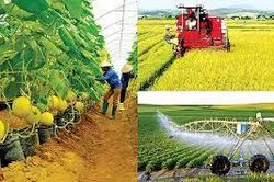 Kinh nghiệm về chuyển dịch cơ cấu kinh tế nông nghiệp theo hướng xuất khẩu bền vững của một số địa phương ở trong và ngoài nước và bài học cho tỉnh Thái Bình