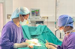 Bé trai 6 tuổi bị chó cắn vào dương vật