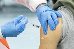 Tỷ lệ người gốc Á tại New York được tiêm ngừa COVID-19 cao nhất