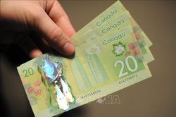 Đồng nội tệ của Canada tăng lên mức cao nhất kể từ năm 2017