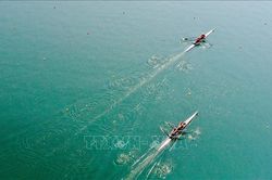 Rowing giành vé dự Olympic Tokyo thứ 7 cho thể thao Việt Nam