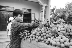 Bắc Giang xây dựng thương hiệu cho nông sản