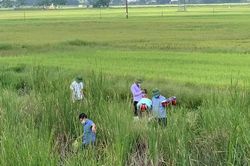 Điều tra vụ việc mẹ ôm con đã tử vong nằm trên đường tàu tự tử