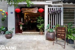 Ghé Sen thưởng trà, nghe nhạc Trịnh