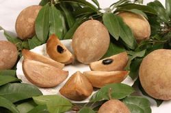 Những tác dụng tuyệt vời của hồng xiêm đối với bà bầu