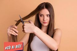 Có ai biết: Tóc của con người có thể nâng được cả một con voi trong sở thú!