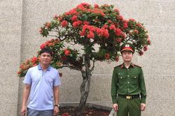 Cây hoa Mẫu đơn hơn 120 triệu đồng bỗng dưng 'biến mất' đã trở về với chủ nhân